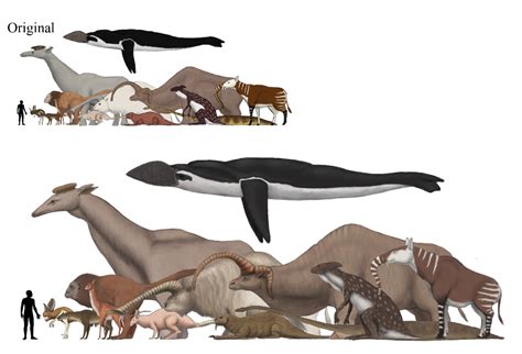 Speculative Evolution The Se Giants Project Creature Drawings