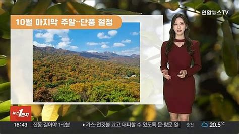 날씨 주말 완연한 가을내륙 일교차 유의 동영상 Dailymotion