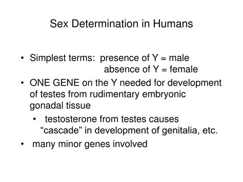 Ppt Autosomes Versus Sex Chromosomes Powerpoint Presentation Free