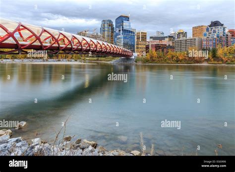 calgary  night stock photo alamy