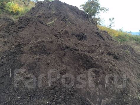 Чернозем лесной, новый, в наличии. Цена: 1 000₽ в Находке