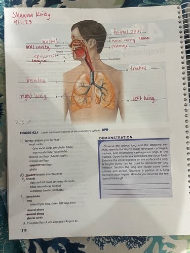BIO 202 LAB PRACTICAL Flashcards | Quizlet