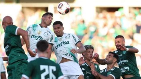 Elenco Do Palmeiras Ganha Folga Antes De Iniciar Prepara O Para Jogo