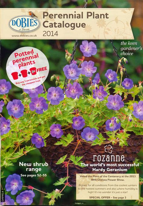When To Plant Out Young Perennials at Joseph Sabala blog