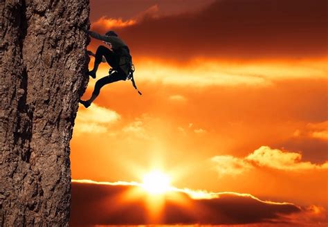 essential lessons    improvement life optimizer