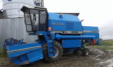 Bizon