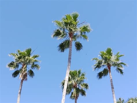 The Keeper S Babe Of The Day Cool Cars Sick Jokes And Hot Babes What Else Is There