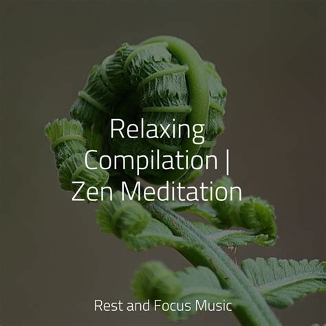 Relaxing Compilation Zen Meditation Album By Musique Zen Garden