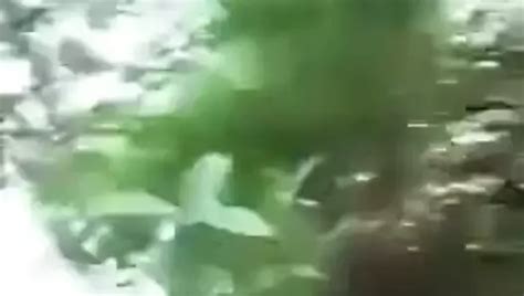 Big Indian Gay Sex Hindi Uttpradesh Free Porn Cf XHamster XHamster