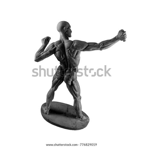 Plaster Statue Naked Anatomical Human Figure Stock Photo Shutterstock