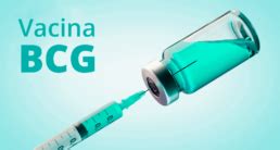 Pra Que Serve A Vacina Bcg