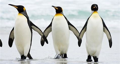 Sex स जड य 20 रचक फकटस जन कर आप भ बलग Hawww ऐस भ ह