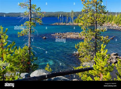 Waldo Lake From Shoreline Trail Waldo Lake State Scenic Waterway