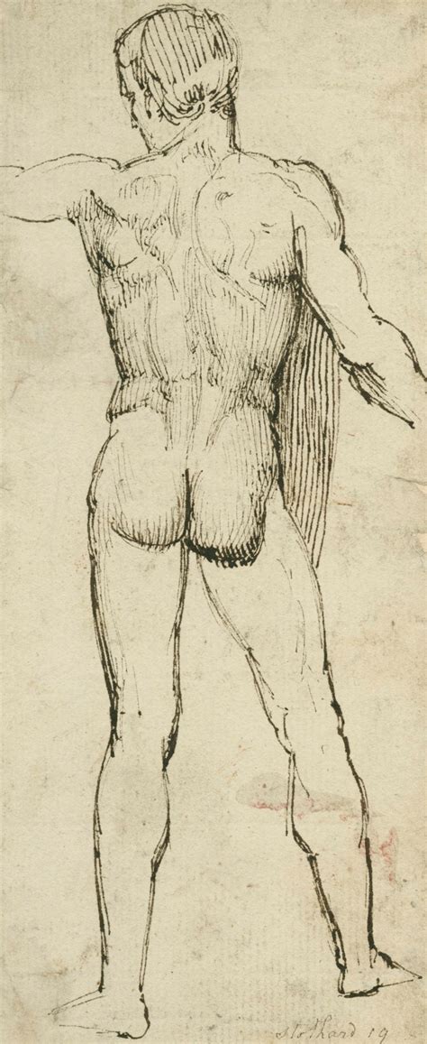 Standing Male Nude Viewed From The Back Works Of Art RA Collection