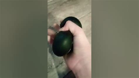 кот крутой замес.#подпишись #рекомендации #ставьлайки - YouTube