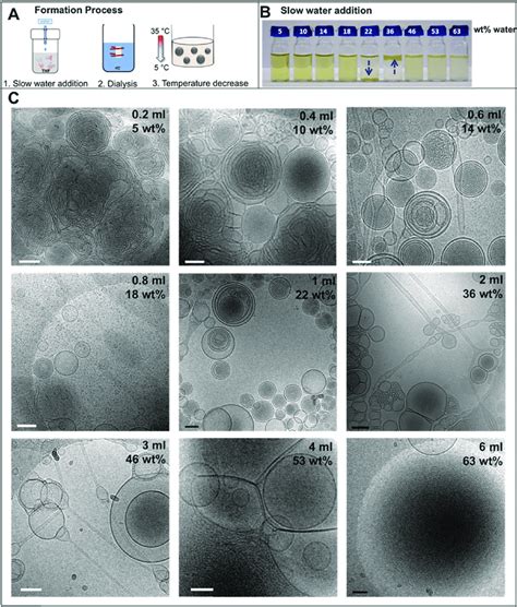 (A) Schematic of the complete formation process; (B) photograph of the ...