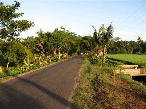 Pemandangan Suasana Pagi Di Kampung / Tampilan Pemandangan Alam Suasana ...