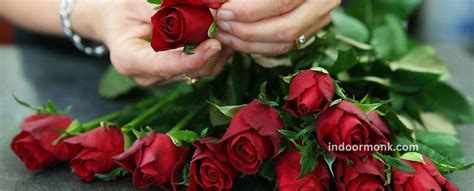 Victory Rose Complete Care Guide Indoor Monk
