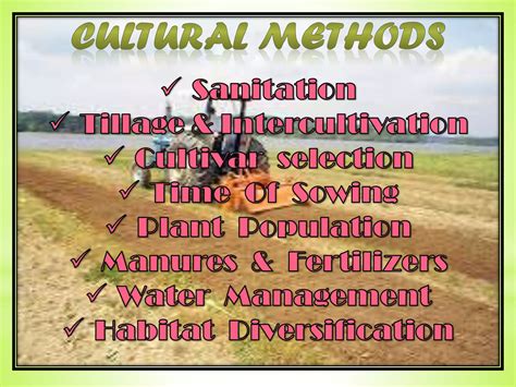 Pest Management In Organic Farming Ppt