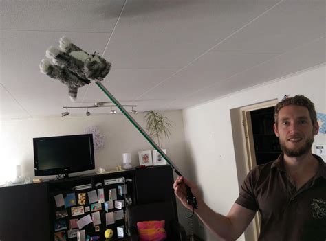 My Brother In Law Is Like Trump He Also Grabs Em By The Pussy R Pics