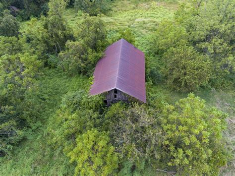 54 Acres Of Open Land Horning Farm Agency