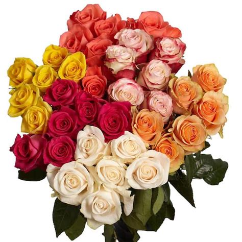 Globalrose 100 Stems Fresh Cut Assorted Roses 1850500082391 The