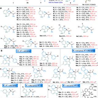 Reaction Scope Reaction Conditions Mmol A Mmol