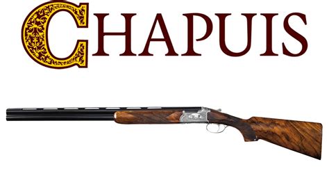 20 Facts About Chapuis Armes
