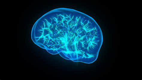 Нейро текст песни