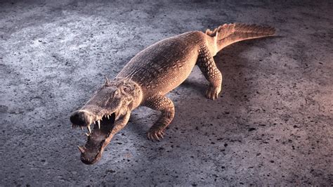 Kaprosuchus | Dinosaurs - Pictures and Facts