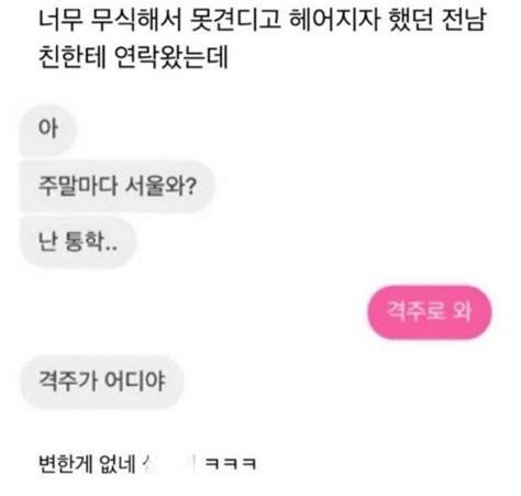 무식해서 헤어진 남친한테 연락이 왔다 유머움짤이슈 에펨코리아