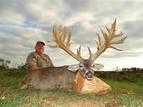 Texas Whitetail Hunts 251 To 300 Star S Ranch