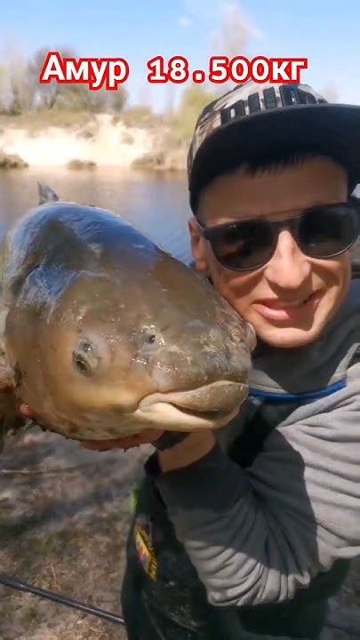#fishing #fish #bigfish #рыбалка #трофей - YouTube