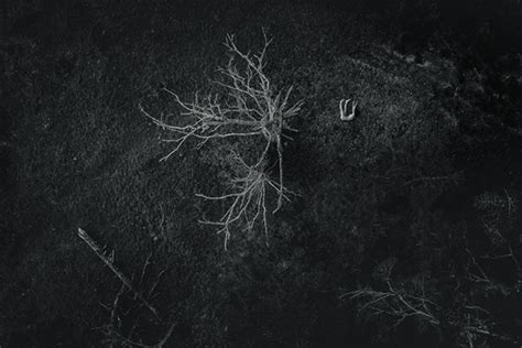 Flat Fall Drone Nude Art Behance