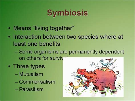 Species Interaction Symbiosis Symbiosis Means living together Interaction