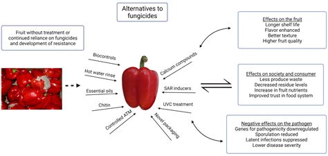 Agronomy Free Full Text Non Chemical Approaches To Control