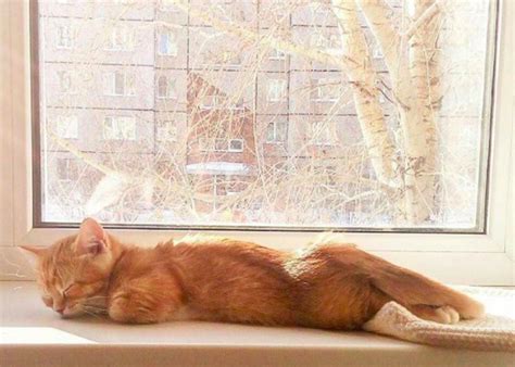 20 Pussy Pics To Send Instead Of Taking Your Own