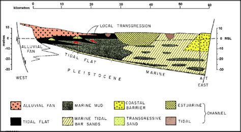 Schematic W E Stratigraphic Cross Section Through The Tidal Estuary Of