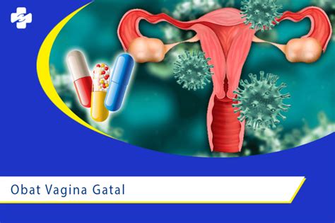 Jenis Obat Untuk Vagina Gatal Apa Saja Klinik Utama Sentosa