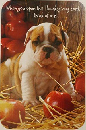 10 of the Cutest Dog Thanksgiving Cards for TRUE Dog Lovers