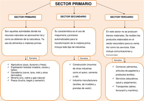 Mapas Conceptuales Del Sector Primario Descargar