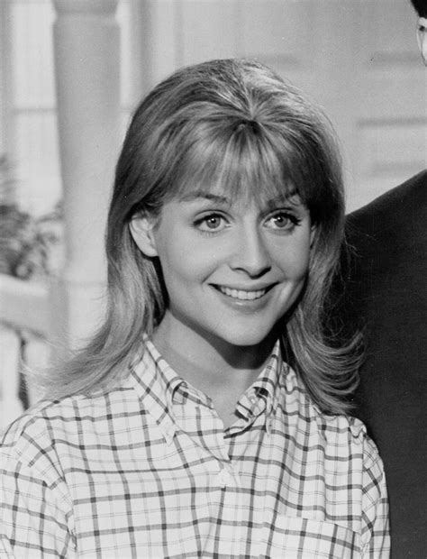 nelson series  hollywood gossip