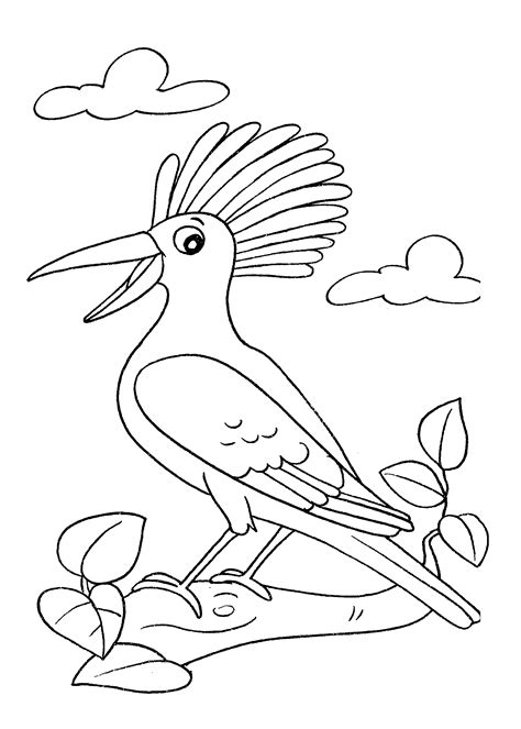 Aves Para Colorir E Imprimir - Desenhos de Aves para imprimir e colorir - Só Atividades