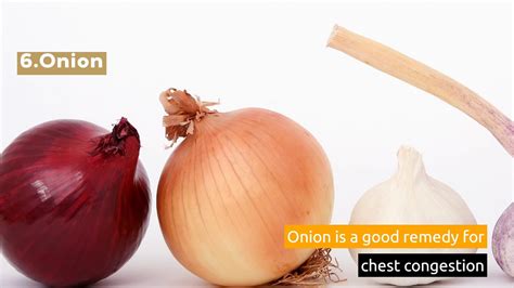10 Best Herbal Remedies For Chest Congestion Youtube