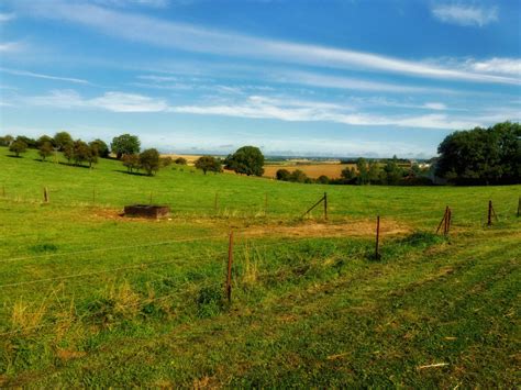 Free Images Landscape Tree Nature Horizon Marsh Fence Sky