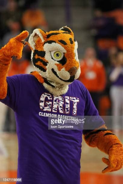 Clemson Tigers Mascot Photos And Premium High Res Pictures Getty Images