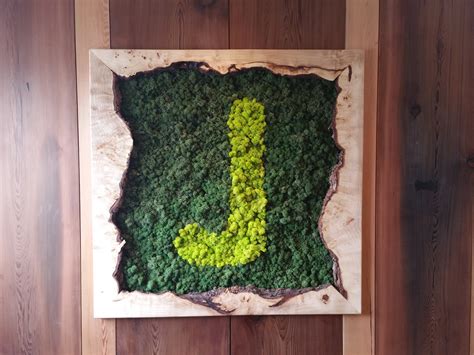 Панно из мха - фото и картинки: 70 штук
