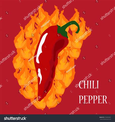 Chili Pepper Burning On Fire Illustration Stock Vector Royalty Free 376493491 Shutterstock