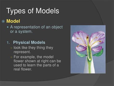 Introduction To Science 33 Scientific Models