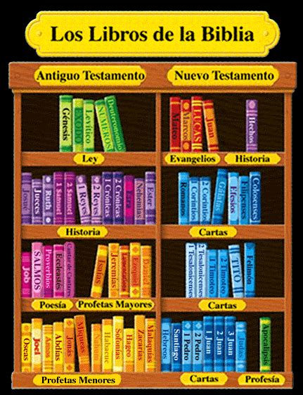 Clasificacion De Los Libros De La Biblia Imagui